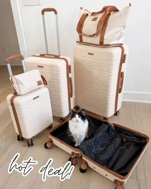 Group fave back on drop — photo from Chloe Webb's Chloe's Closet post