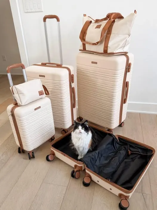 😍 This luggage set is only $109 shipped today — photo from Chloe Webb's Chloe's Closet post