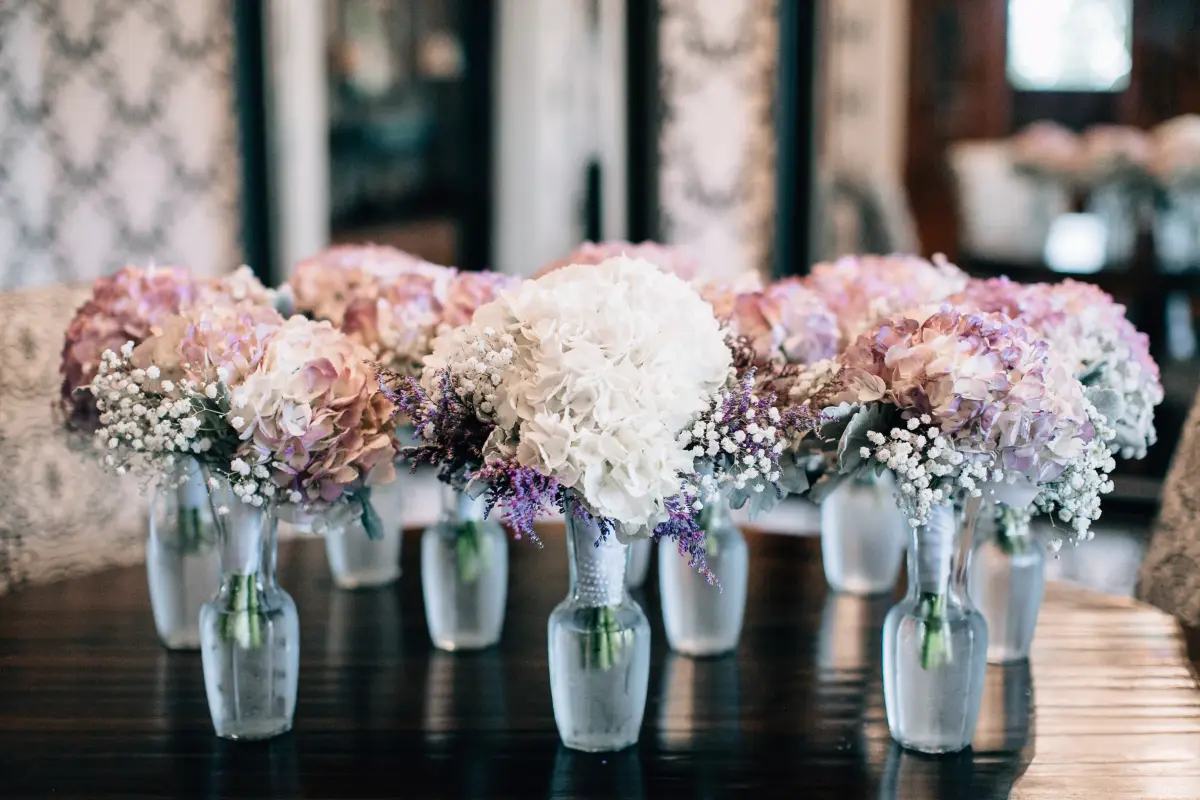Josh chloe adjusted — My Wedding Day (5)